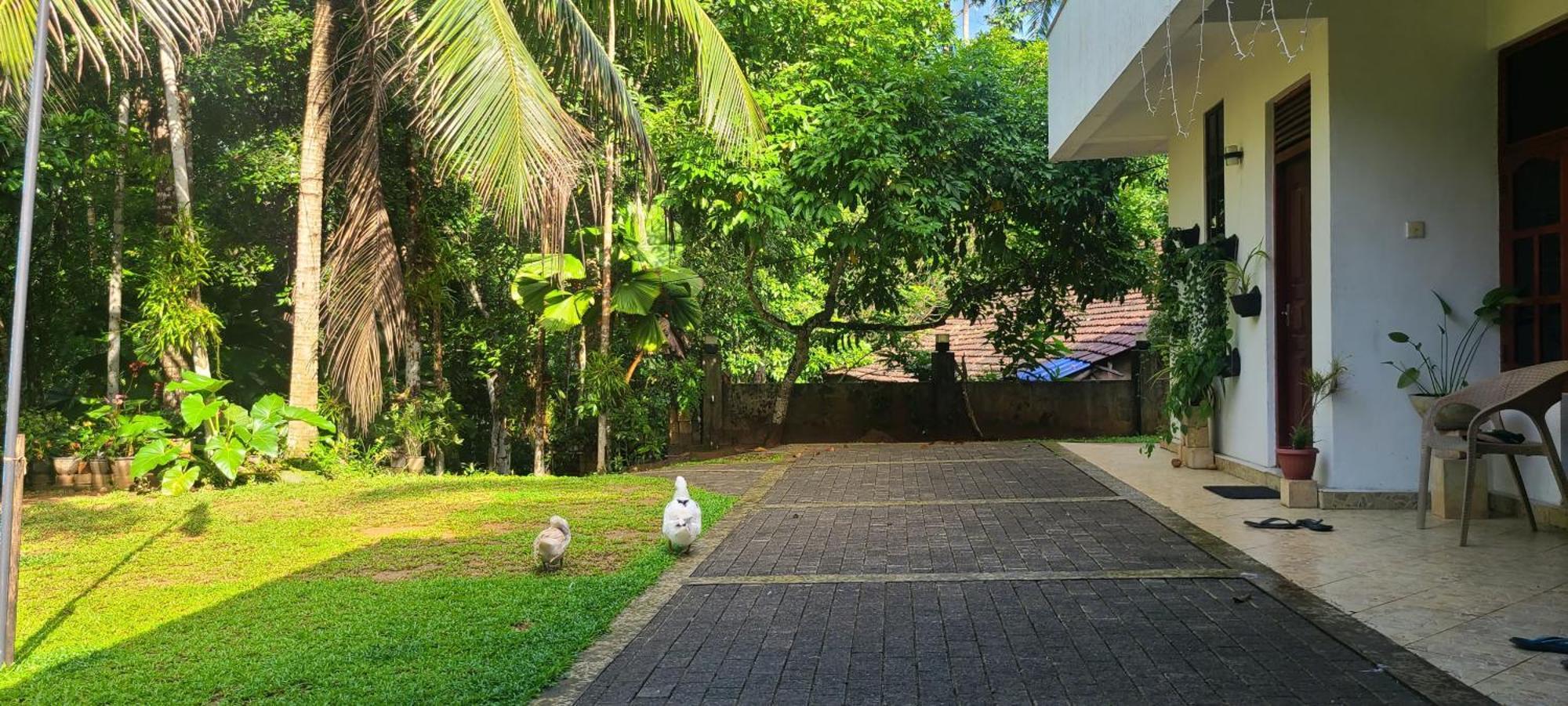 'Kolamba Gedara' Green Apartment Ruwanwella 외부 사진